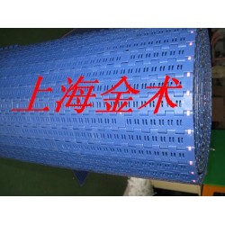 藍色5935塑料網帶