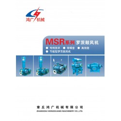 供應(yīng)鑄鐵鋼100羅茨鼓風(fēng)機(jī)