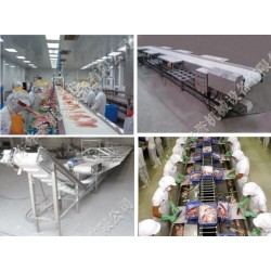 華譽(yù)機(jī)械供應(yīng)高質(zhì)量的肉類(lèi)分割加工線(xiàn)_羊屠宰加工線(xiàn)