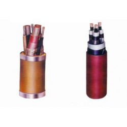 鎧裝控制電纜價(jià)格——供應(yīng)北京地區(qū)性價(jià)比*高的鎧裝控制電纜