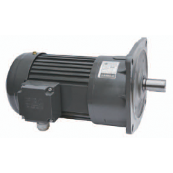 至寶三相立式齒輪減速電機