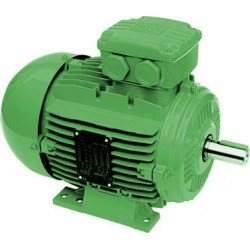 電機 哪里好 來濟南找瑞眾 技術(shù)精湛 價格合理  高貴的象征