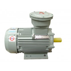 優(yōu)秀的高效電機(jī)——哪里可以買到特價YBXn系列高效率隔爆型三相異步電動機(jī)