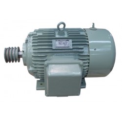 高效電機(jī)_精良的YXn 系列高效率三相異步電動機(jī)市場價格