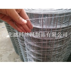 全球領(lǐng)導(dǎo)品牌¤廠家濾科供應(yīng)優(yōu)質(zhì)不銹鋼鋼筋電焊網(wǎng)，價(jià)格也不