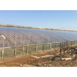 買有品質(zhì)的po膜，新農(nóng)塑料廠是您優(yōu)先的選擇  ，加工農(nóng)用薄膜