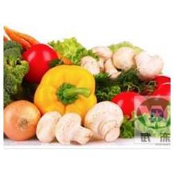 高性價蔬菜冷庫供應_蔬菜冷庫安裝