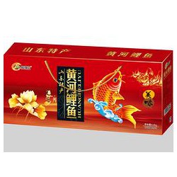 山東物超所值的黃河鯉魚(yú)禮盒【供應(yīng)】，聊城黃河鯉魚(yú)禮盒