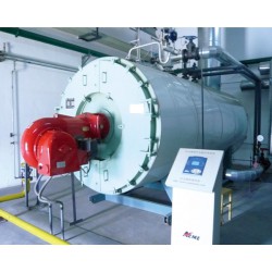 泰安哪里有供應(yīng)專業(yè)的WNS系列燃油燃?xì)忮仩t，福建燃?xì)獬哄仩t