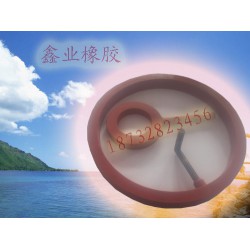 超值的充氣密封圈推*，優(yōu)質密封圈價格超低