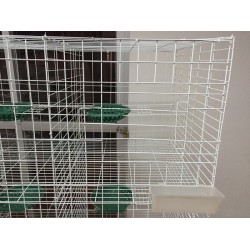 鴿籠雞籠兔籠/寵物籠/養(yǎng)殖設(shè)備/養(yǎng)殖籠/晉江飼養(yǎng)設(shè)備籠子找華飛金屬制品有限公司！