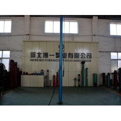 博一泵業(yè)性?xún)r(jià)比高的高揚(yáng)程潛水泵出售，高揚(yáng)程溫泉專(zhuān)用泵廠家哪個(gè)好