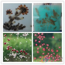 調(diào)光玻璃夾膠爐 調(diào)光玻璃夾膠爐價(jià)格   玻璃夾膠爐廠家