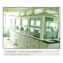 怎么買(mǎi)優(yōu)質(zhì)的實(shí)驗(yàn)室通風(fēng)柜呢  ，南寧實(shí)驗(yàn)室通風(fēng)柜