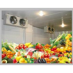 銅陵瓜果冷庫設(shè)備【好的選擇】銅陵瓜果冷庫造價 銅陵瓜果冷庫哪家好