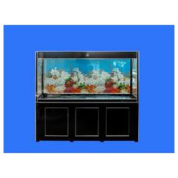 萬寶玻藝制品廠提供具有口碑的生態(tài)魚缸加工服務(wù)，同行中的姣姣者：煙臺(tái)生態(tài)水族箱