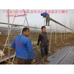 濰坊可靠的蔬菜大棚建造公司，當(dāng)屬千匯溫室，蔬菜大棚建造