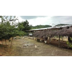 福州口碑好的農(nóng)副產(chǎn)品批發(fā)商，農(nóng)副產(chǎn)品哪里有賣