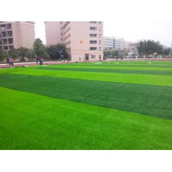 合肥人造草坪【人造草坪，杠杠的】合肥人造草坪供應(yīng)、合肥人造草坪材料