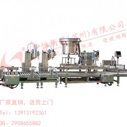 GSS仲恒GAF-30SA化工30kg液體自動(dòng)灌裝線