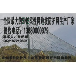 遂寧被動(dòng)網(wǎng)，新款被動(dòng)防護(hù)網(wǎng)成都有售