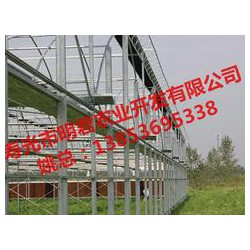 【誠薦】智能溫室大棚建設(shè)訊息，溫室大棚搭建報價