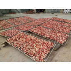 優(yōu)良的山楂去核切片機(jī)在哪買(mǎi)|去核