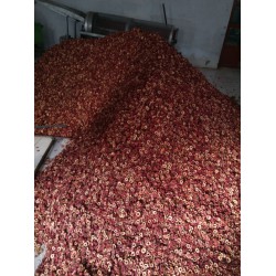 哪里有賣(mài)首屈一指的山楂去核切片機(jī)：山楂切片機(jī)