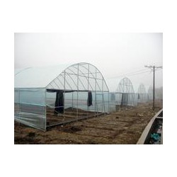 信譽好的自康農(nóng)膜供應商推*，EVA膜