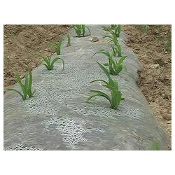 具有口碑的玉米地膜提供商，當(dāng)屬南寧市晟和興塑膠，貴州哪里有農(nóng)用地膜