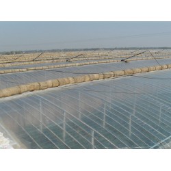 EVA農(nóng)膜市場新行情資訊，EVA農(nóng)膜批發(fā)