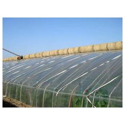華盾塑料供應(yīng)優(yōu)良的壽光大棚膜，華盾大棚PO膜