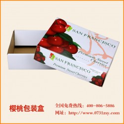 長沙水果包裝盒供應(yīng)|長沙水果包裝盒生產(chǎn)廠家|長沙櫻桃包裝盒