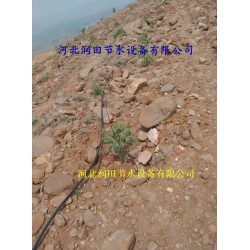 絳縣果樹滴灌PE管|小管出流、網(wǎng)式過濾器|配套促銷