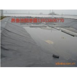 大量出售山東優(yōu)質的養(yǎng)殖膜——藕池養(yǎng)殖膜批發(fā)