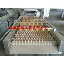 大棗清洗加工流水線/大棗清洗風干流水線/大棗清洗風干線