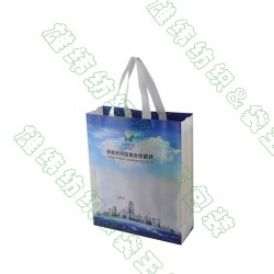 無紡布袋廠家、環(huán)保袋購物袋、惠州環(huán)保袋廠家