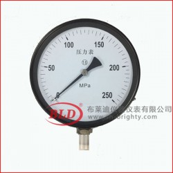 Y-100.AO.200.M500一般壓力表