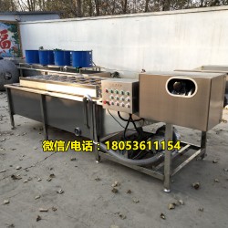 氣泡清洗機(jī) 果蔬加工設(shè)備 清洗機(jī)廠家