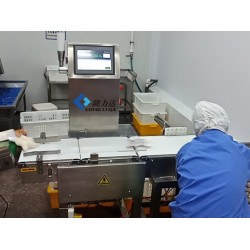 稱重剔除機 檢重秤 稱重選別機 青島隆力達 專業(yè)高效