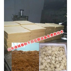 哪里有切絲不斷的千頁豆腐切絲機(jī)，一次成型千頁豆腐切絲機(jī)