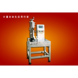 斗式定量灌裝秤V5-6DE