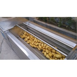 冠通機械洋蔥清洗機 土豆清洗去皮機 毛輥清洗機凈菜設(shè)備廠家
