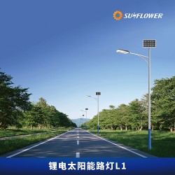節(jié)能型鋰電智能8-10米50W太陽能LED路燈L1廠家直銷