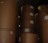 273克美國(guó)牛卡紙