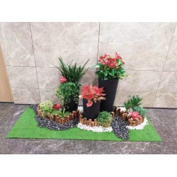 武漢室內(nèi)盆景報價公司花卉養(yǎng)護室外苗木，商場綠植養(yǎng)護工廠盆景