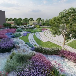 武漢室外苗木養(yǎng)護商場綠植租擺，苗木銷售寫字樓綠化價格