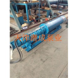 天津水池100方臥式潛水泵（帶井筒，支架）潛成泵業(yè)廠家直銷