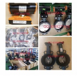 德國依博羅（EBRO）對夾式蝶閥DN40-DN500現(xiàn)貨提供