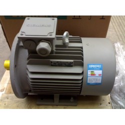 茵夢達貝得異步電動機1TL0003-0EA42西安榆林經(jīng)銷商